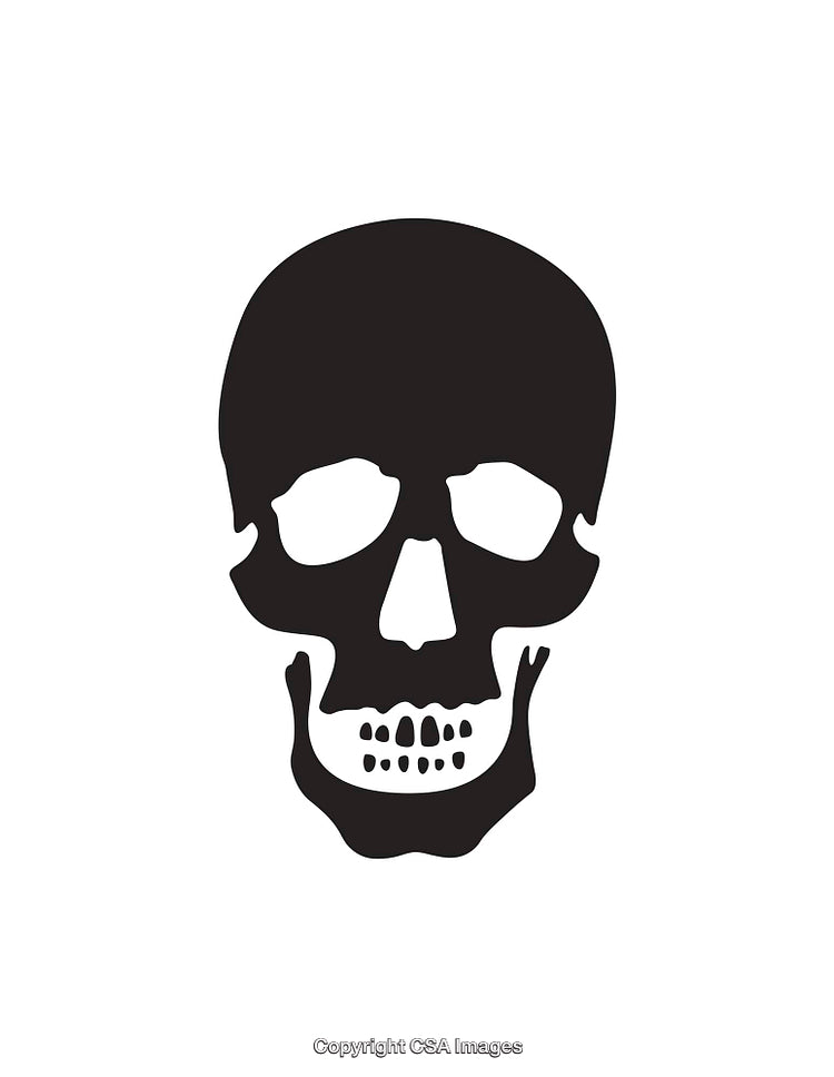 Black and White Skull Icon Isolated on a Simple White Background