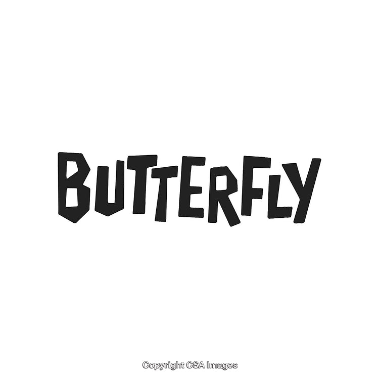 Bold Text Design Featuring the Word Butterfly in Black on White Background