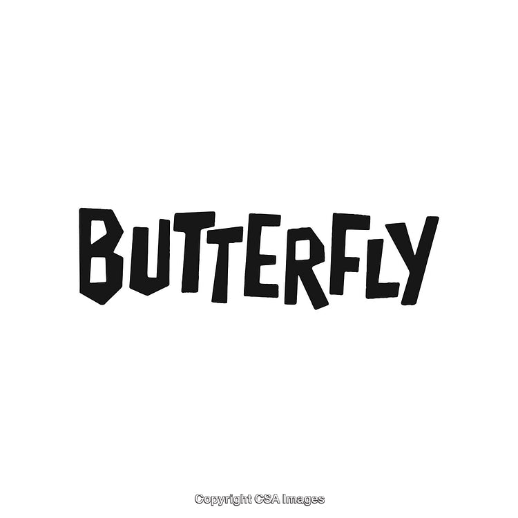 Bold Text Design Featuring the Word Butterfly in Black on White Background
