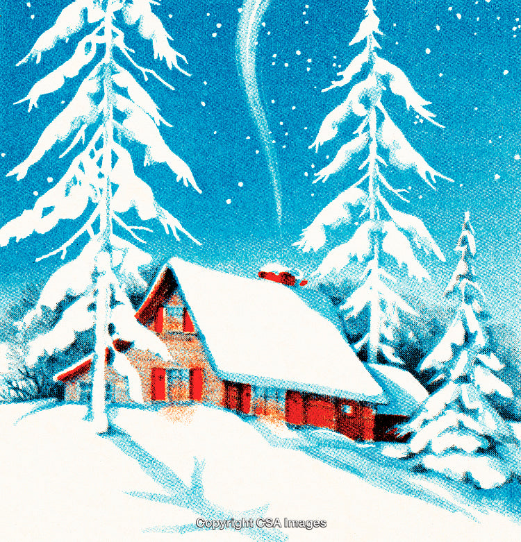 Cozy Snow-Covered Cabin Surrounded by Pine Trees Under Starry Winter Night