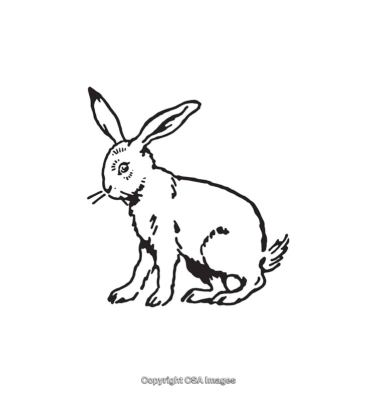 Black and White Line Art Illustration of an Adorable Rabbit