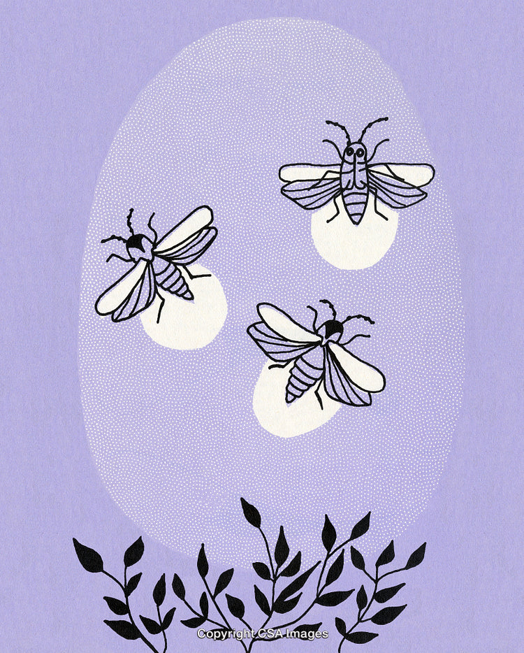 Illustration of Fireflies Glowing at Night with Botanicals on Lilac Background