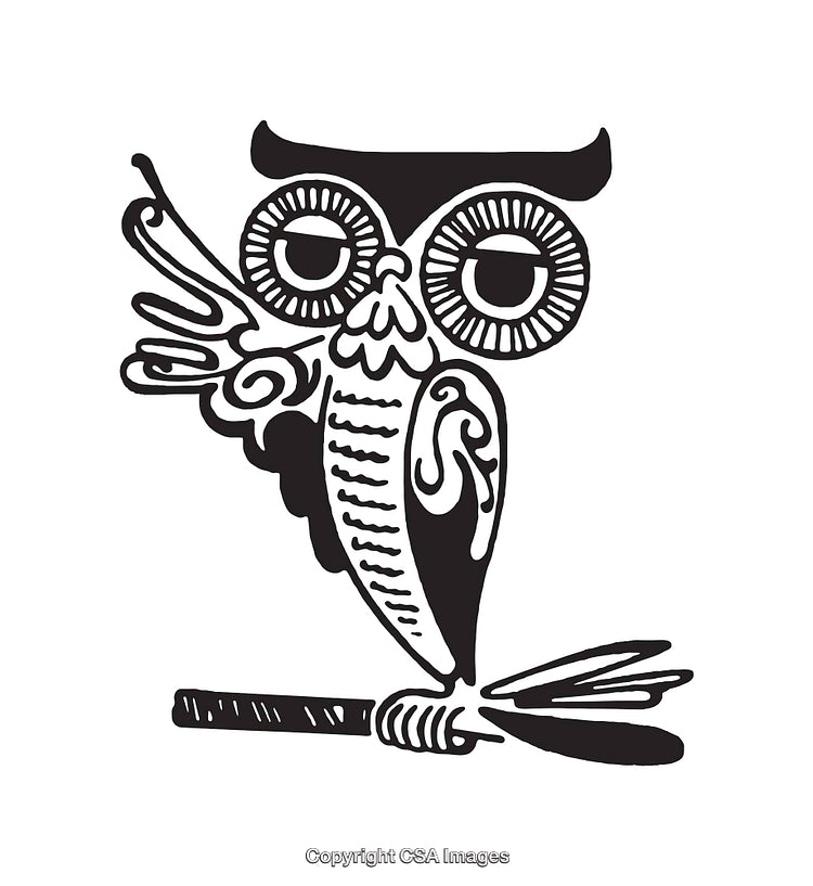Black and White Line Art of an Artistic Owl Design