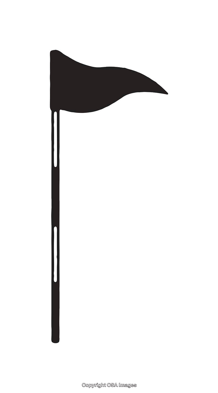 Simple Black Flag Icon in a Minimalist Line Art Style Design