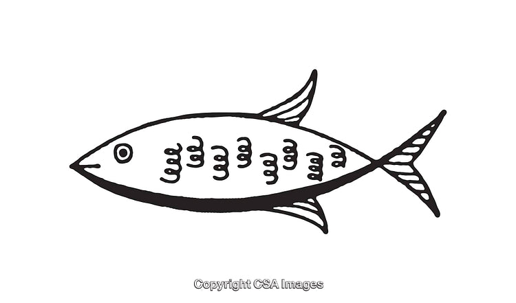 Simple Black and White Illustration of a Fish in Line Art Style