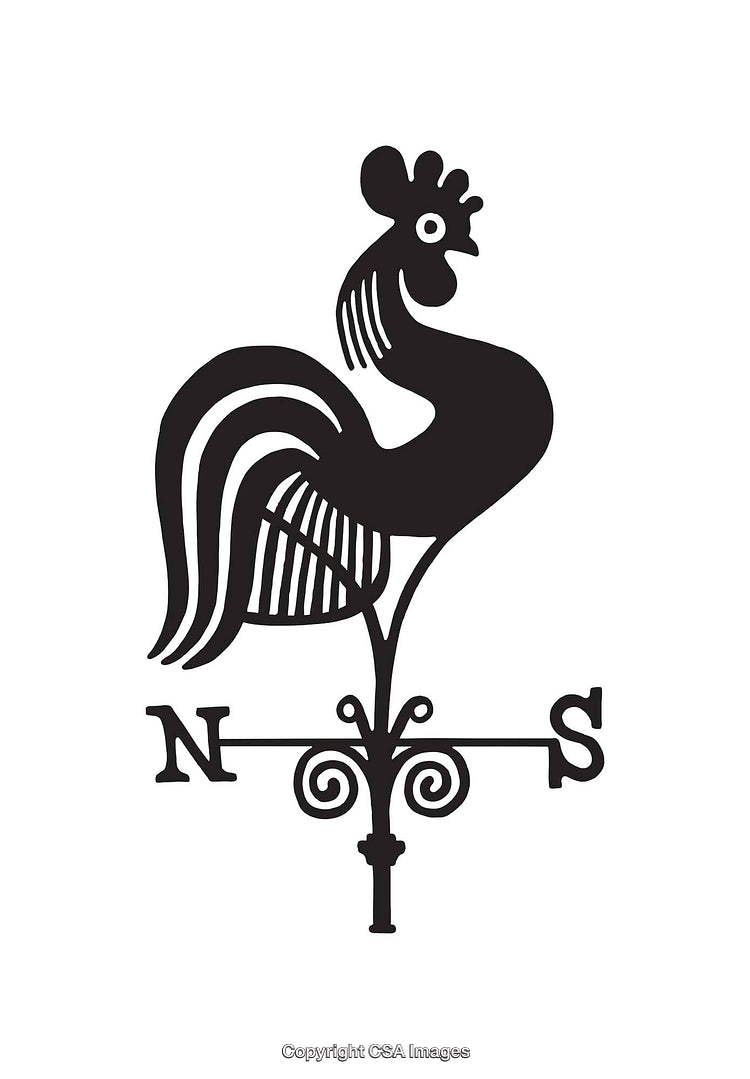 Black and White Weather Vane Illustration Featuring a Rooster Design