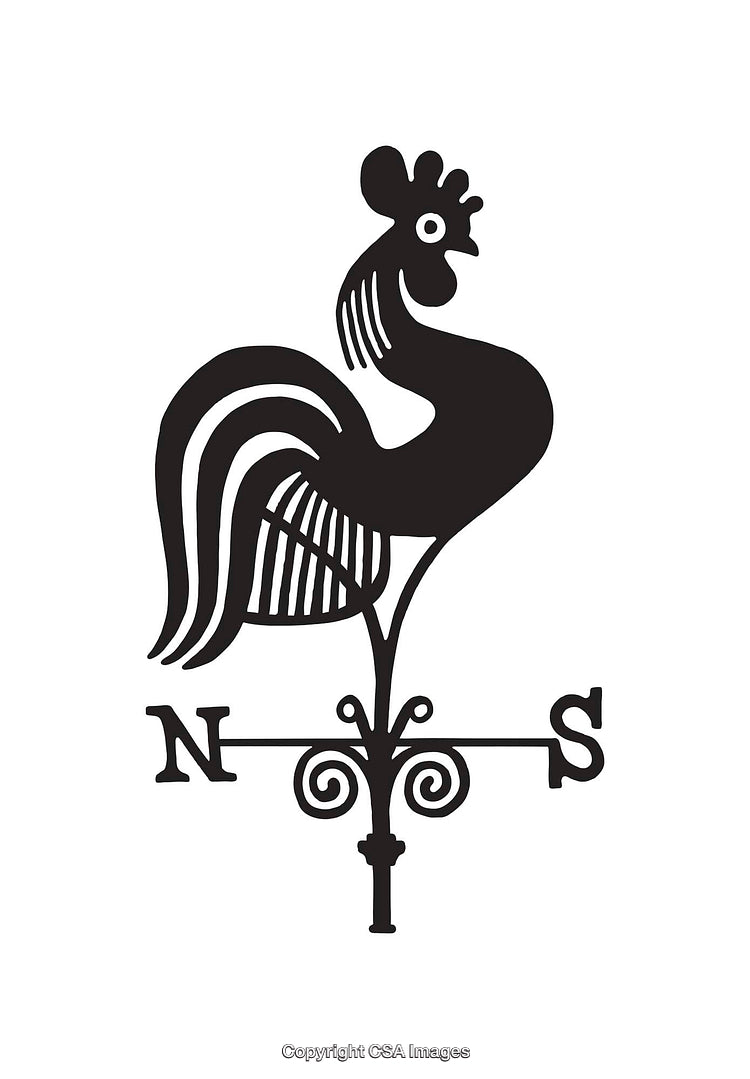 Black and White Weather Vane Illustration Featuring a Rooster Design