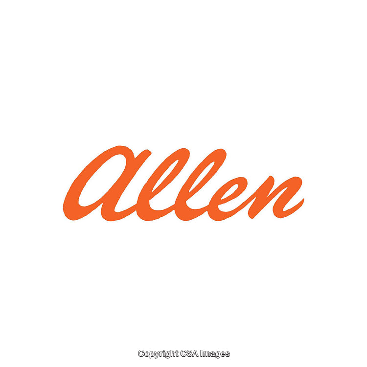 Orange Word 'Allen' in Script Font on White Background