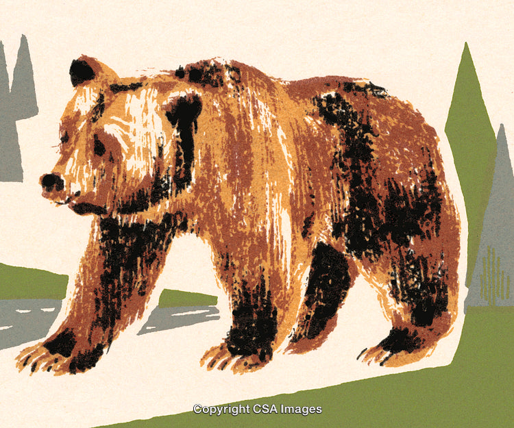 Illustrated Grizzly Bear in a Forest Landscape Artwork