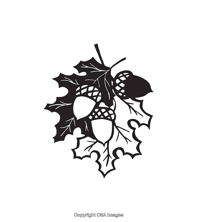 Stylized Black and White Illustration of Acorns and Oak Leaves