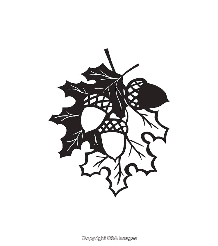 Stylized Black and White Illustration of Acorns and Oak Leaves