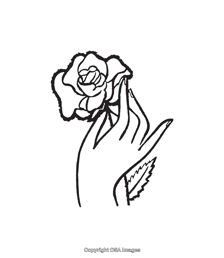 Delicate Line Art Illustration of a Hand Holding a Blooming Rose