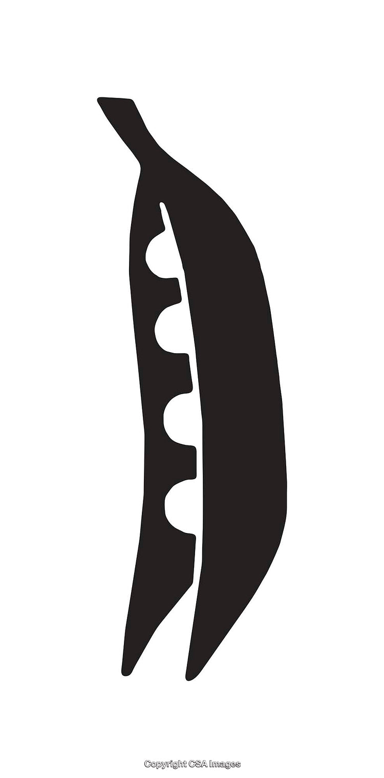 Minimalist Black And White Peapod Icon With Seeds Inside
