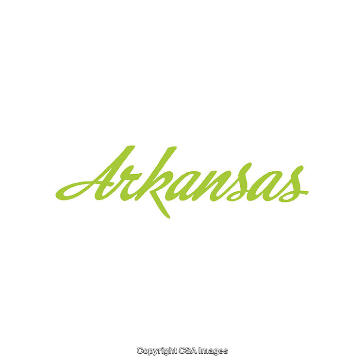 Green-Handwritten Word Arkansas on a White Background Symbolizing Simplicity and Clarity
