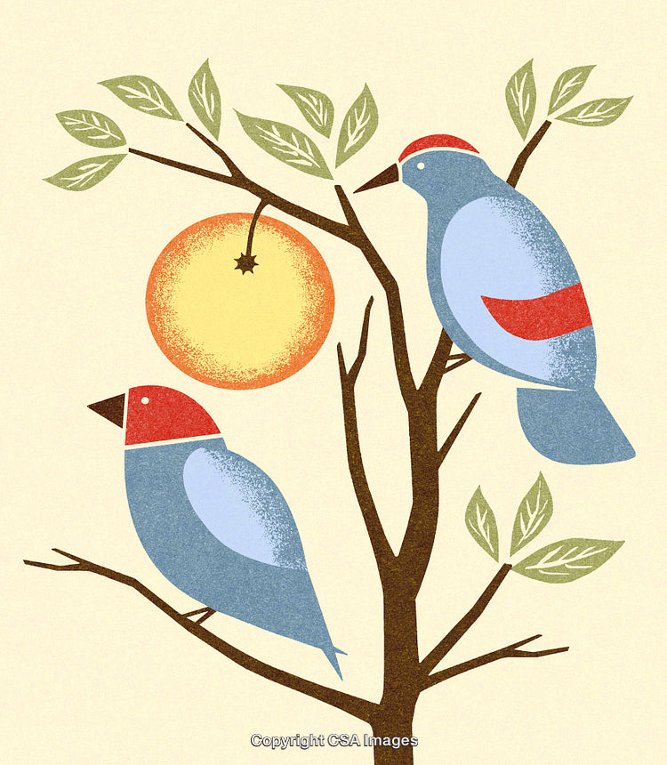 Colorful Birds Perched on Branch Near Fruit in Artistic Illustration