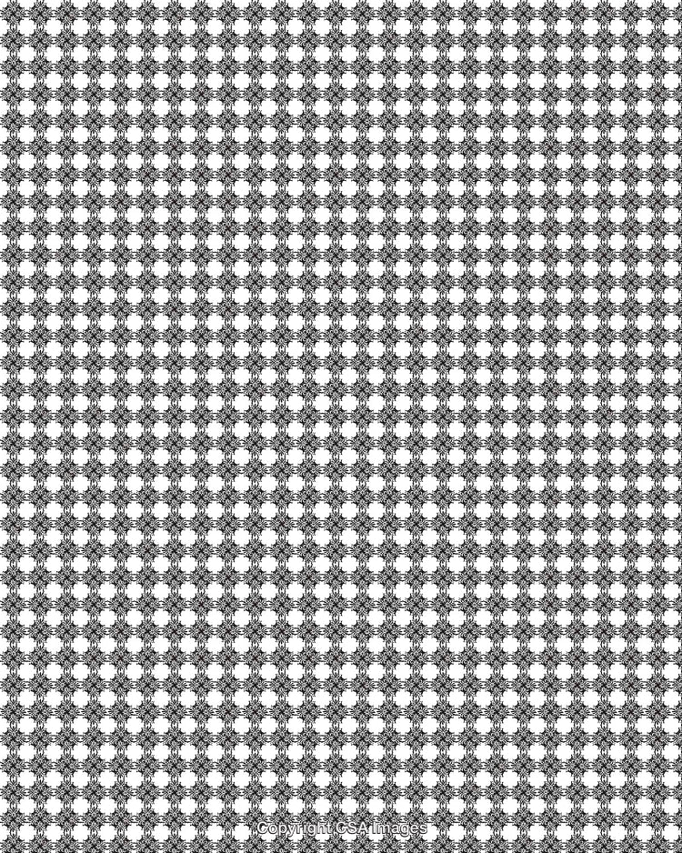 Intricate Black and White Pattern Design with Symmetrical Floral Motifs