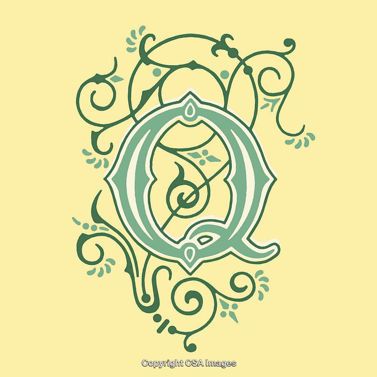 Decorative Artistic Letter Q Design with Ornate Floral Elements