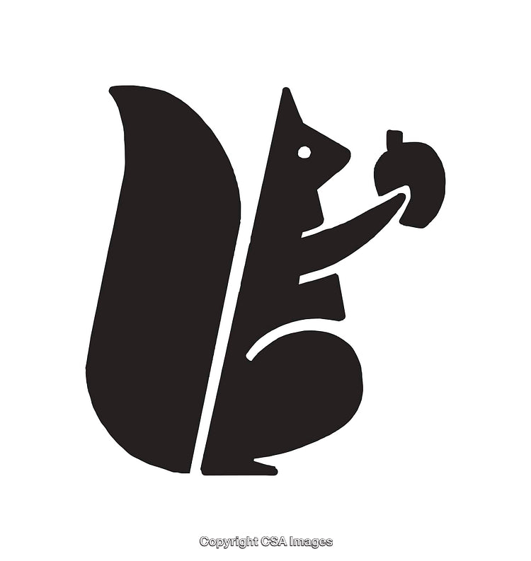 Minimalist Black and White Squirrel Holding Nut Icon Illustration