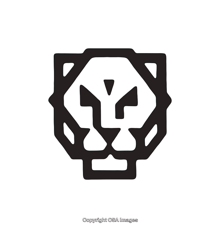 Black and White Geometric Lion Head Line Art Illustration