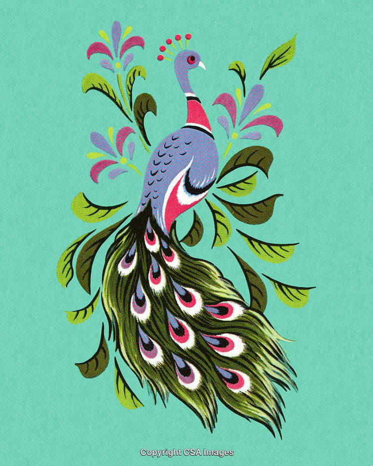 Elegant Peacock Illustration With Vibrant Colors and Decorative Details on Teal Background