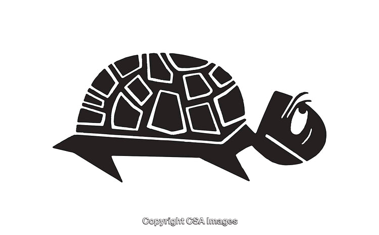 Black and White Stylized Turtle Illustration in Minimalistic Design