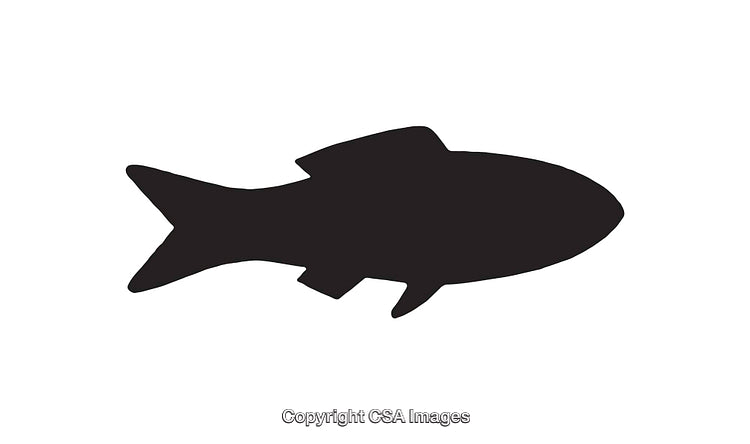 Silhouette Of A Fish In Black Color On A White Background