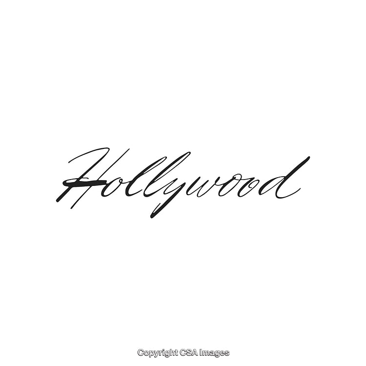 Elegant Hollywood Wordmark in Stylish Cursive Script on Plain Background