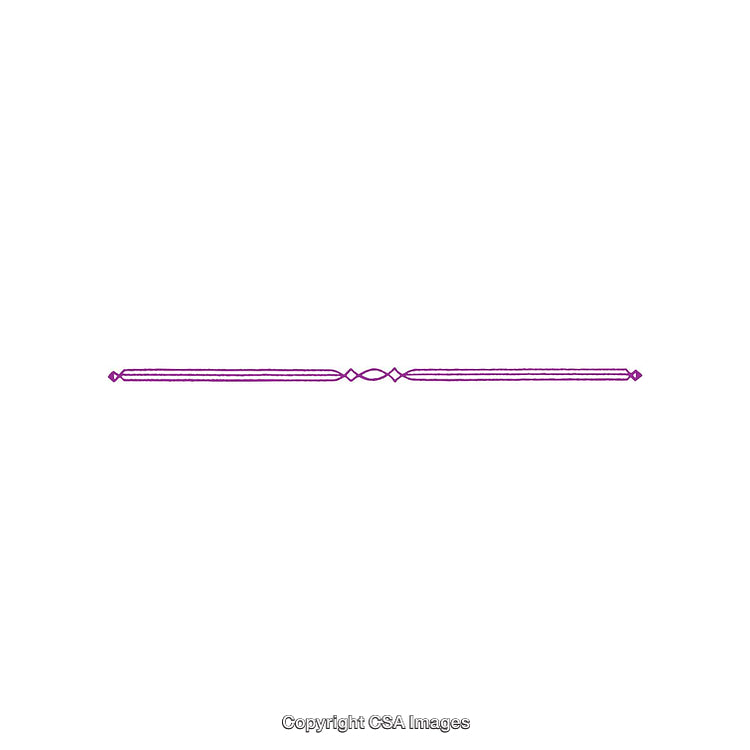 Elegant Purple Line Divider with Ornamental Geometric Design