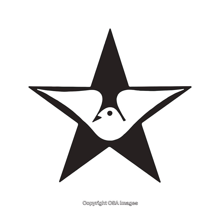 Stylized Black and White Line Art of a Bird Inside a Star