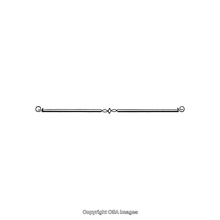 Elegant Decorative Black And White Ornamental Divider Design