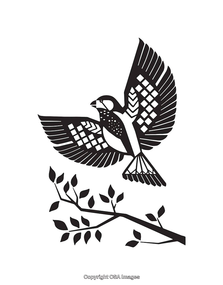 Black and White Line Art Illustration of a Bird and Branch