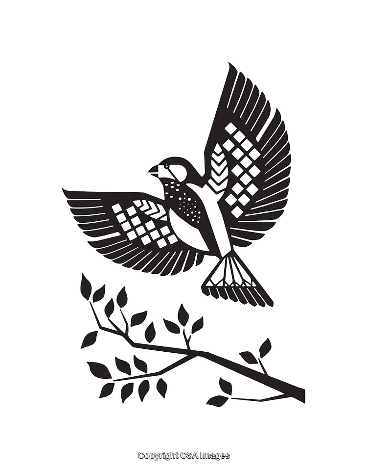 Black and White Line Art Illustration of a Bird and Branch