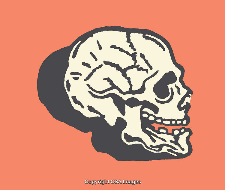 Stylized Illustration of a Skull Profile with Bold Line Art Design