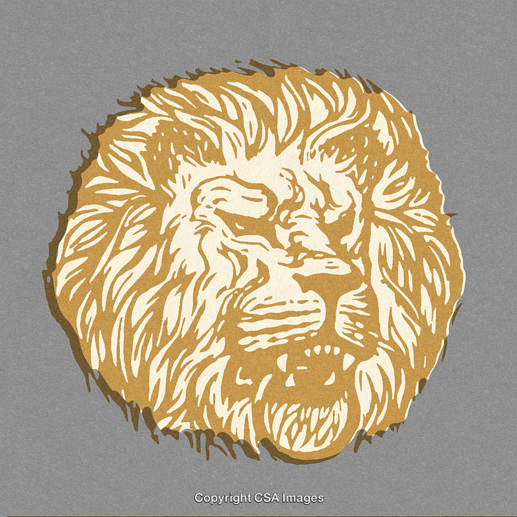 Illustration of Regal Lion Head on Textured Gray Background