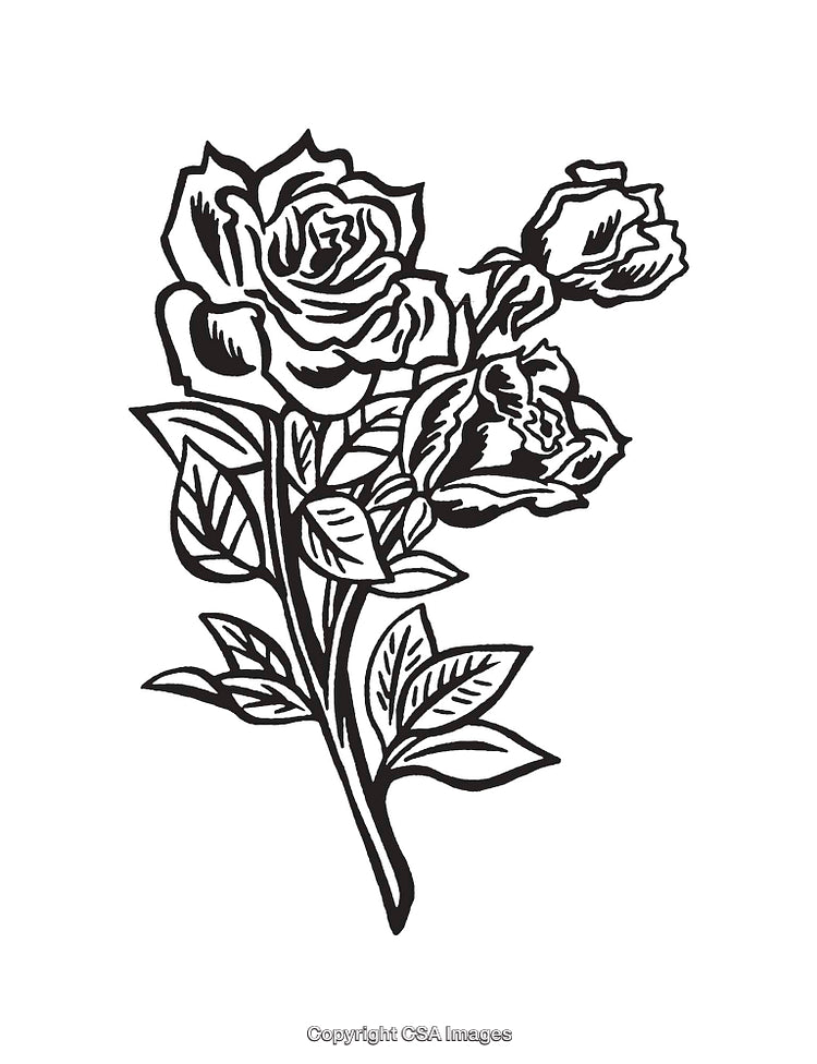Black and White Line Art Illustration of Blooming Roses With Leaves