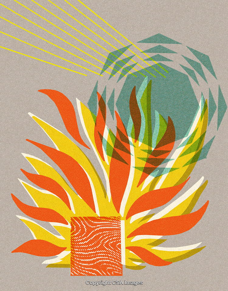 Colorful Abstract Artwork with Geometric and Organic Patterns