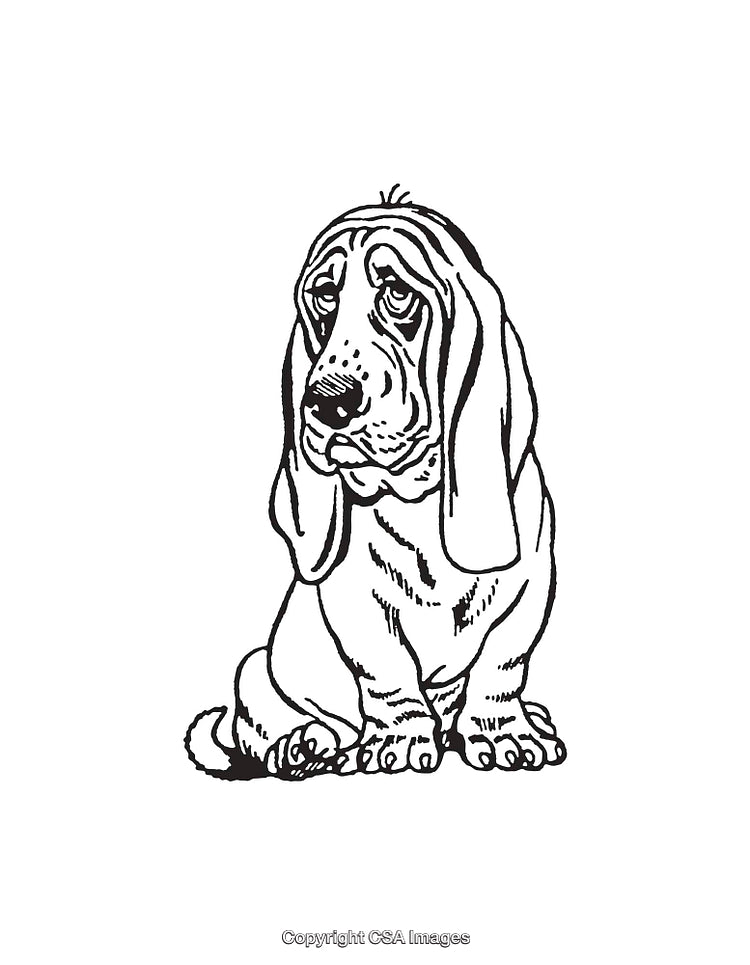 Detailed Black and White Line Art Illustration of a Sitting Hound Dog