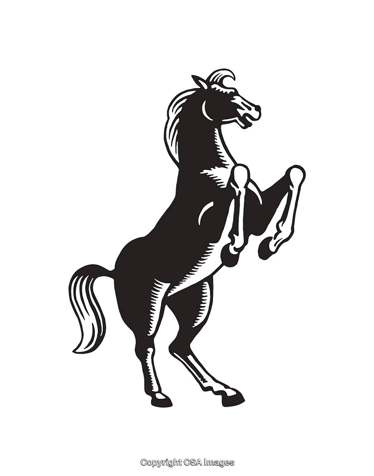 Elegant Black and White Line Art of a Rearing Horse for Design