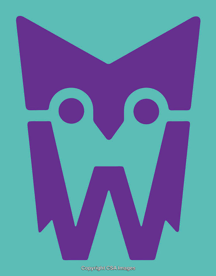 Stylized Purple Owl Mask Design on Aqua Background