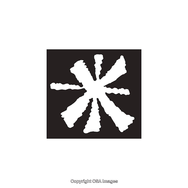 Abstract Black and White Dingbat Shape With Unique Artful Pattern