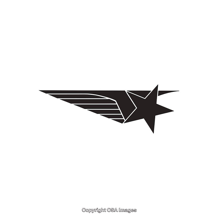 Abstract Black Star With Dynamic Wing Design Symbol