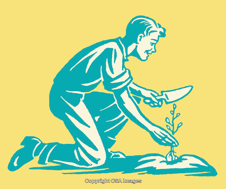 Man Planting a Seedling with Gardening Tools in Line Art Style