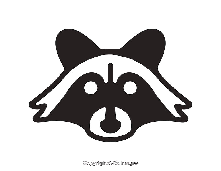 Black and White Raccoon Face in Minimal Line Art Style
