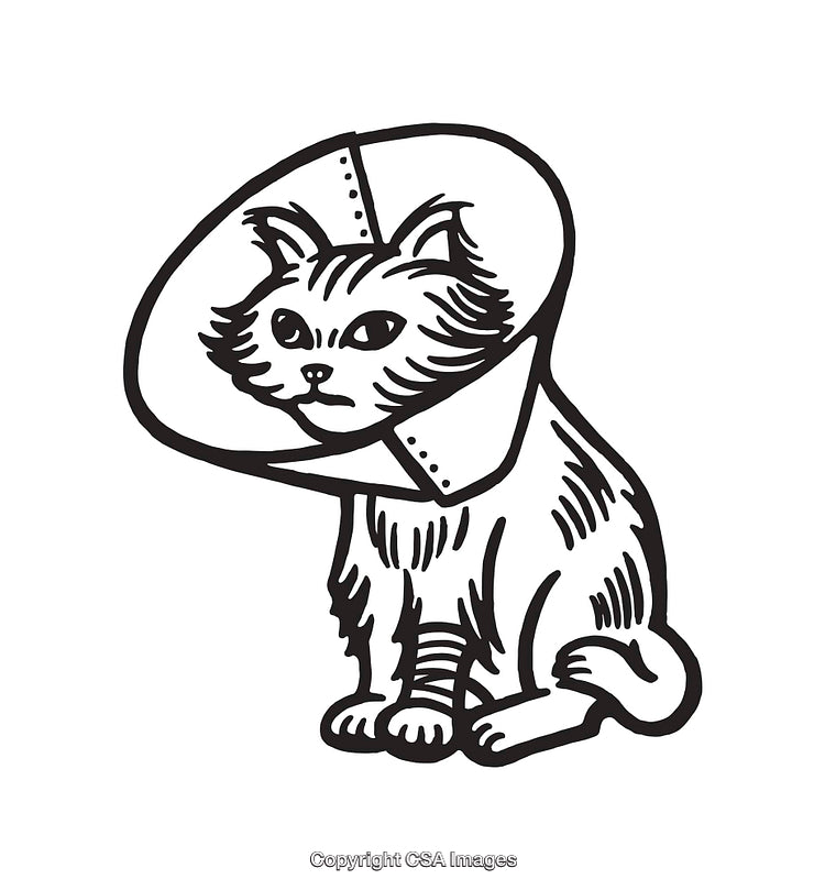 Black And White Illustration of a Cat Wearing a Protective Medical Collar