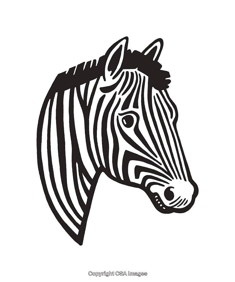 Black and White Line Art Illustration of a Zebra Head Profile