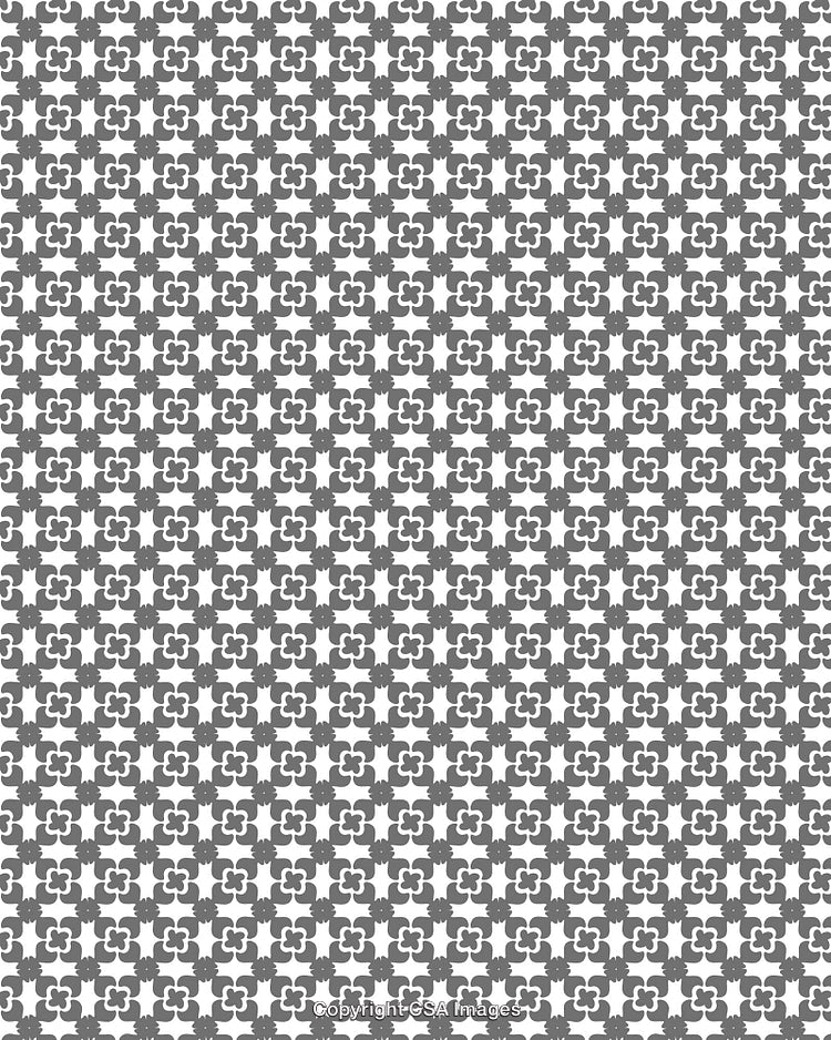 Geometric Grey and White Pattern Featuring Repeated Floral Motifs