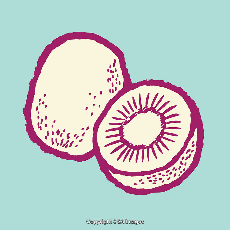 Vibrant Line Art Illustration of Whole and Sliced Kiwi Fruits