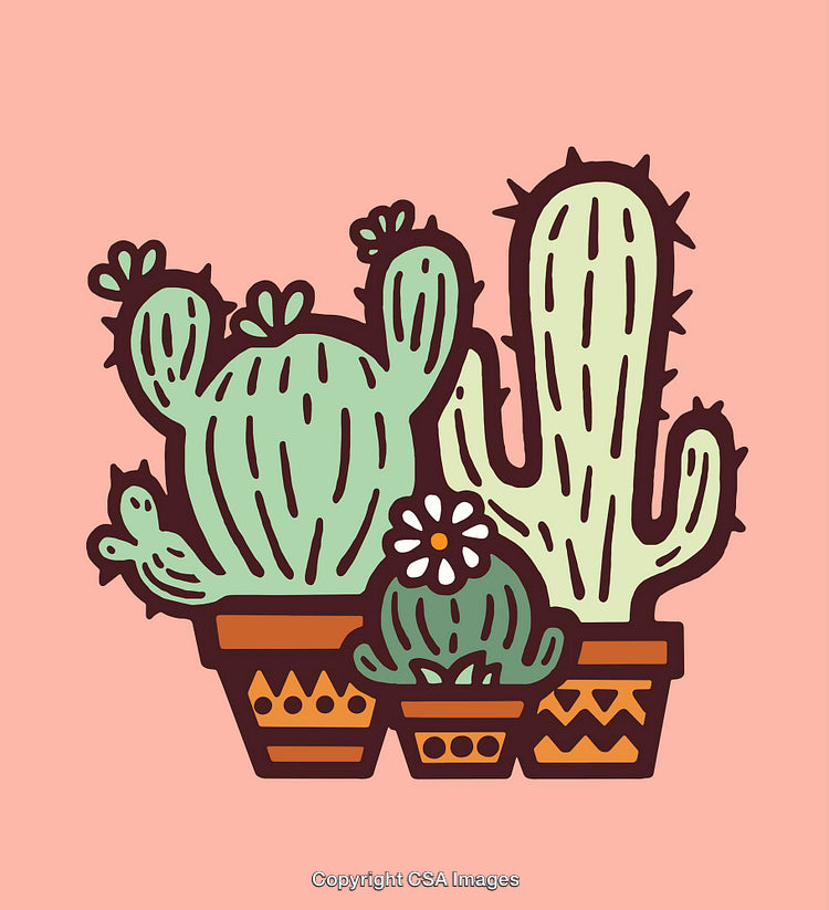 Colorful Cactus Plant Illustration in Decorative Pots on Pink Background