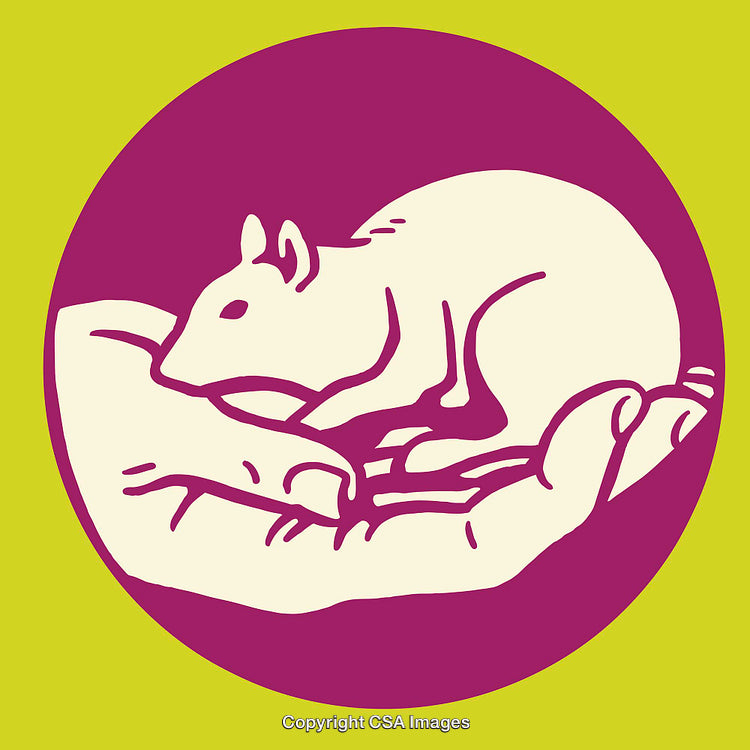 Illustration of a Mouse Resting in a Hand for Compassion Concept