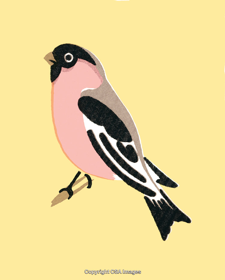 Illustration of a Colorful Bird on a Soft Yellow Background
